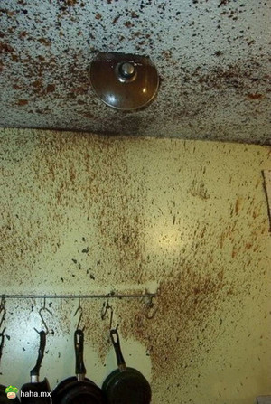 我就想知道先是谁在这里炖屎的？！