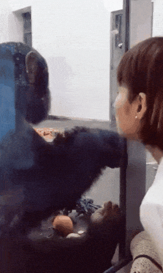 别打扰我吃东西