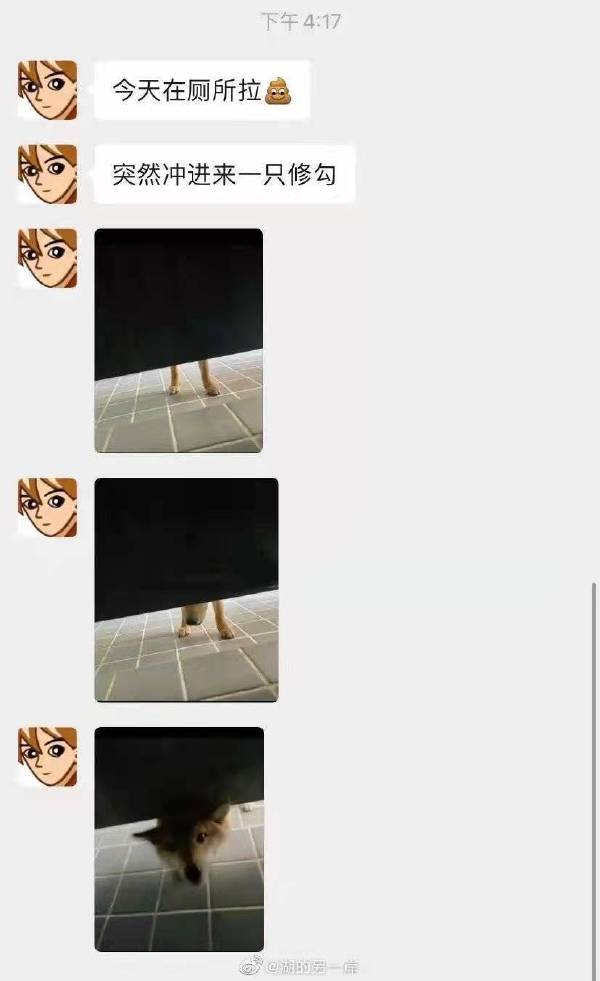 喂，出餐快点！