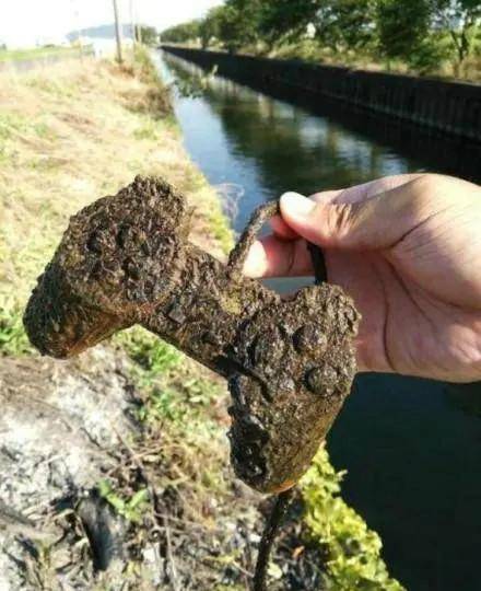 考古学家：真神奇，当年的年轻人娱乐方式就是玩这个，这玩意有什么好玩的