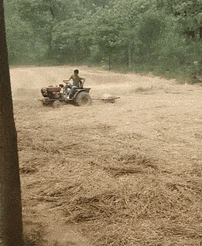 多好的年代，请问你多久，没看到过这样的场景了？