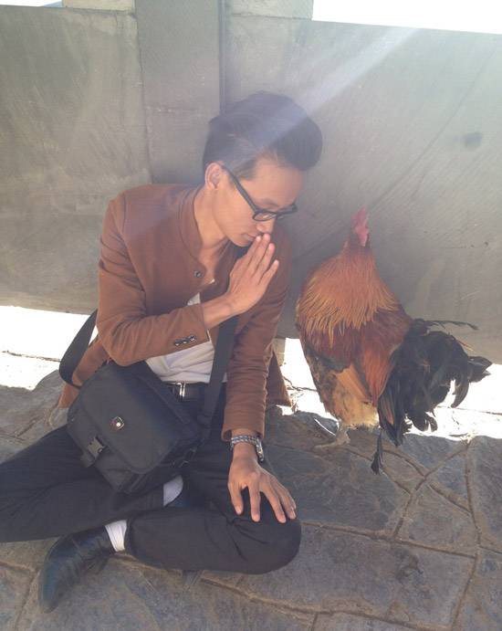 对不住了公鸡兄，哥想补补身子