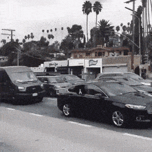 确认过眼神它遇见对的人