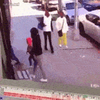 这是自家的狗吗？