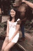 一看就是老司机