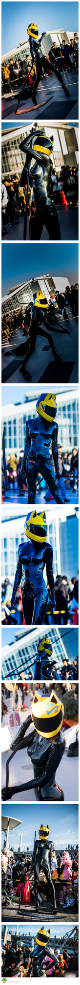 无头骑士异闻录:赛尔提