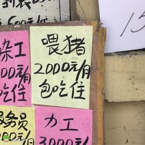 老板我能不能辞职啊，我找到一份好工作。。。