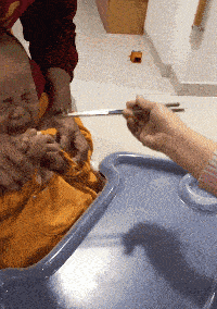 让我吃菜是不可能的，吃肉还可以考虑一下