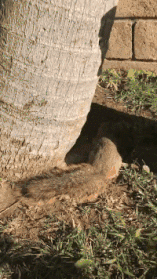 快快快，我需要人工呼吸