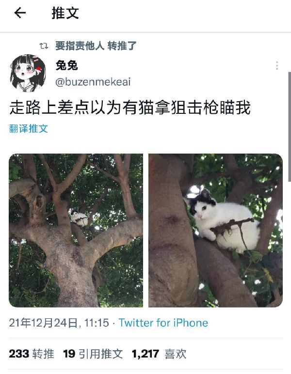 我看谁敢从中门过