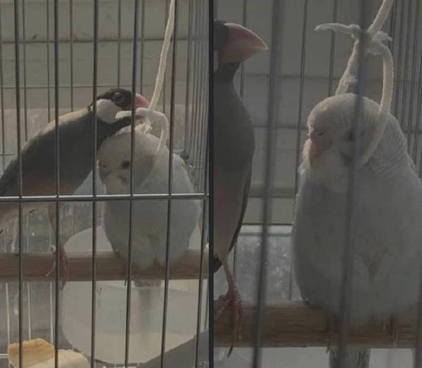 来～～来～～，天气冷，围巾围上就不冷了