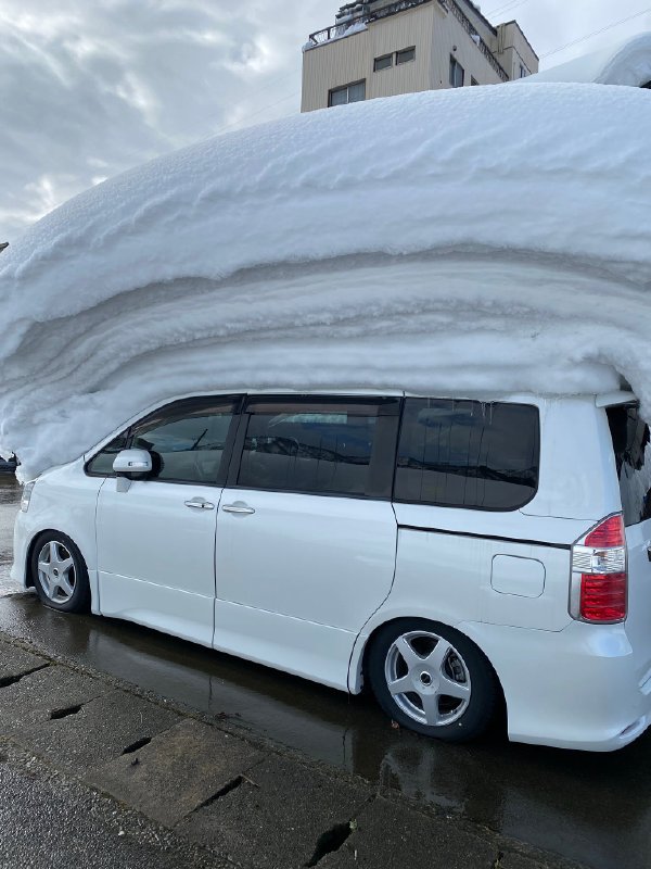 买车时因为好奇勾选了“奶盖”选项