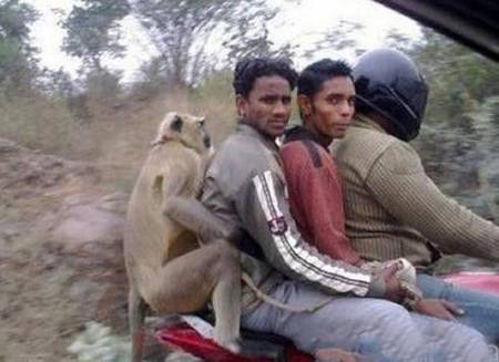 哥们,往前挤挤,我屁股坐不下