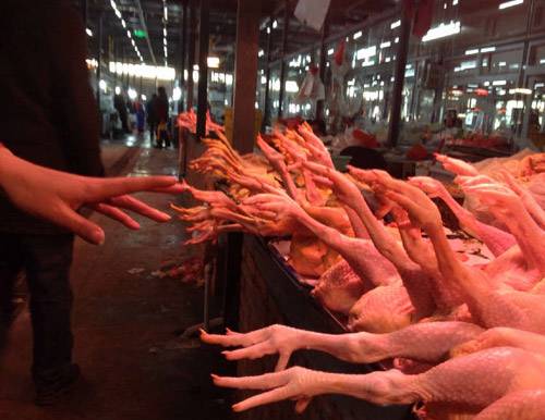 别急，一个个来