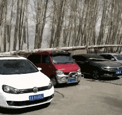 毕竟，都是红车大哥扛的起的