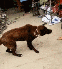 你是我的小呀小苹果,怎么爱你都不嫌多