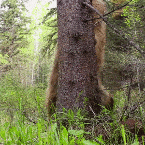 腰是好腰，就是钢管粗了点