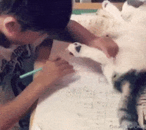 爷，你起开一下