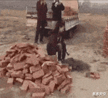 大城市的熊气质就是不一样!