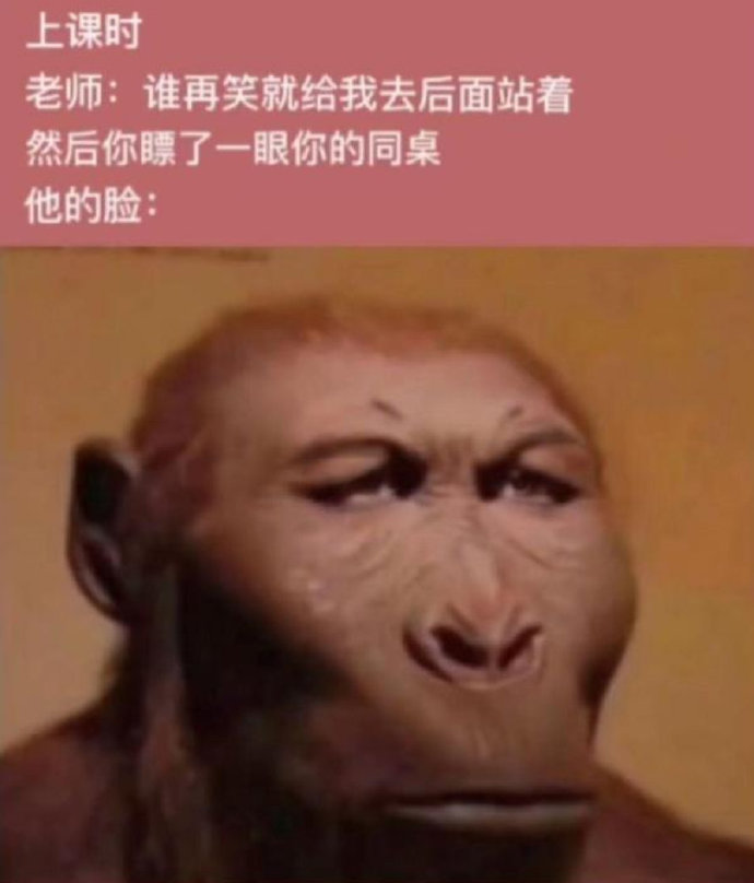 眼神，瞧这眼神！