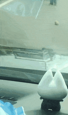 刺猬：这个救命之恩我真的栓Q