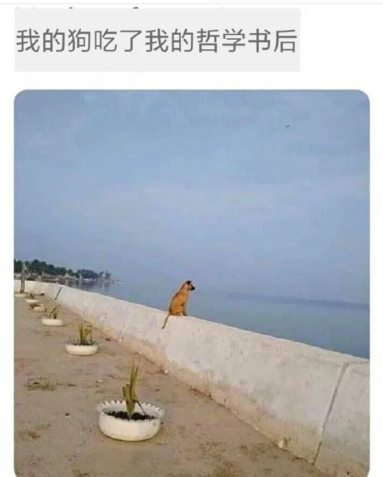 再给它吃本高等数学就好了