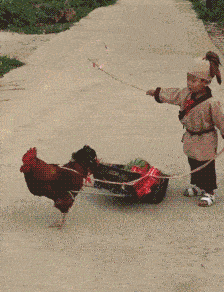 小二，你这是送货去谁家啊