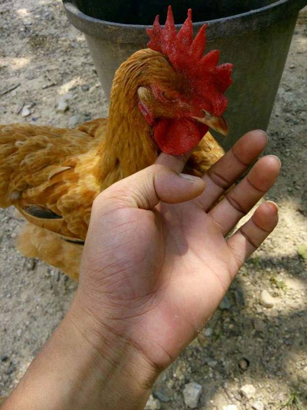 来，给爷笑一个