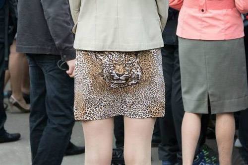 老虎的屁股你敢摸吗?