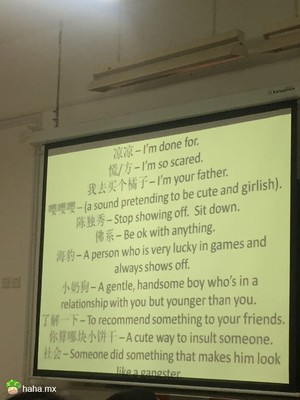 向外教介绍中国slang，xswl