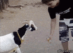 谁不干了谁是王八蛋！