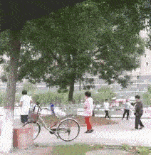 大树：大妈你们是在超度我吗？