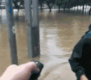 大家帮我听听，看看我的车在哪里呢？