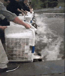 大叔我们是来给鱼放生的，不是让你下去游泳的