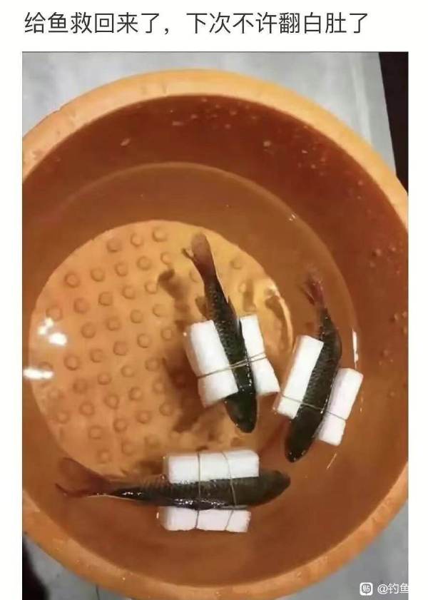 阎王要你三更死主人留你到天明