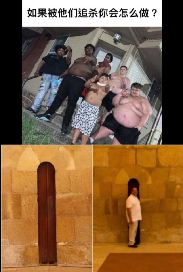 体大弱门，毛多弱火