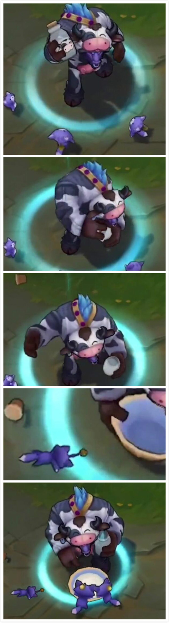 小猫:错的不是我而是这个世界!