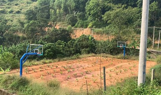 放心，广场舞大妈不会跟你抢