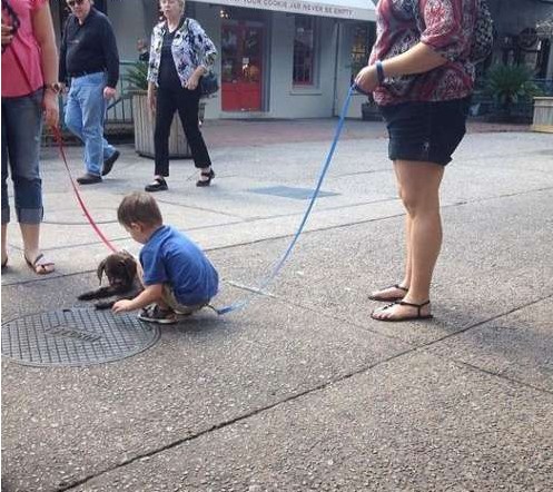 别人遛狗，姐遛娃