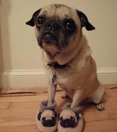 这鞋鞋跟我好配