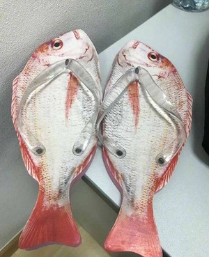 咸鱼从此无翻身之日