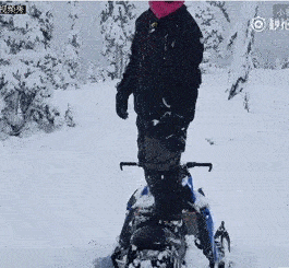 雪下的那么深 下的那么认真~