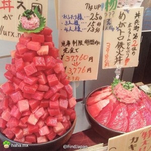 第一眼还以为是西瓜啊，有没有哈友有自信吃完的？