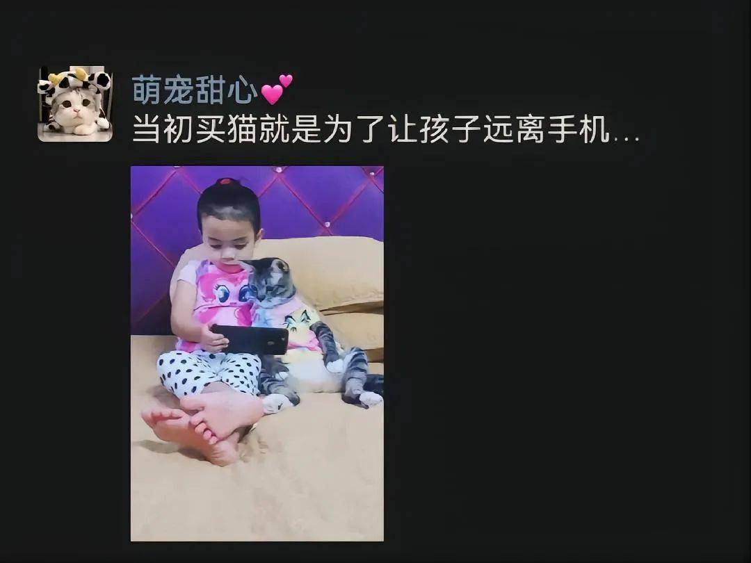 两个都沉迷手机了