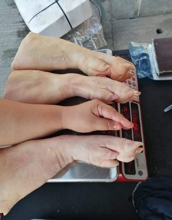 老板，这个猪蹄多少钱