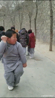 小胖子你是哪个庙里的和尚,功夫不赖!