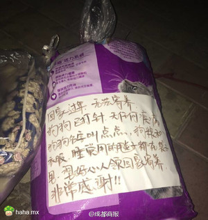 你们回家过年去了，它却没家了