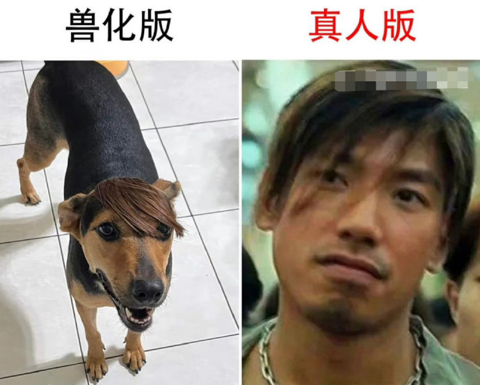 这个的感觉我得叫他大哥呢。