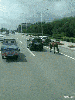 在外面,视野开阔