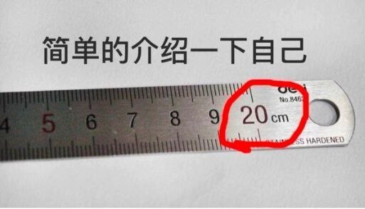 出现了：自欺欺人尺